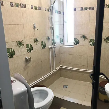 Pelikan 招待所 南埃福列