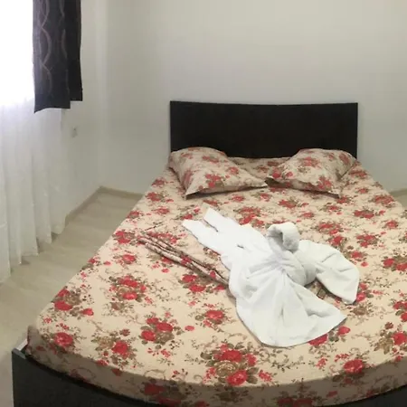 Pelikan 招待所 南埃福列